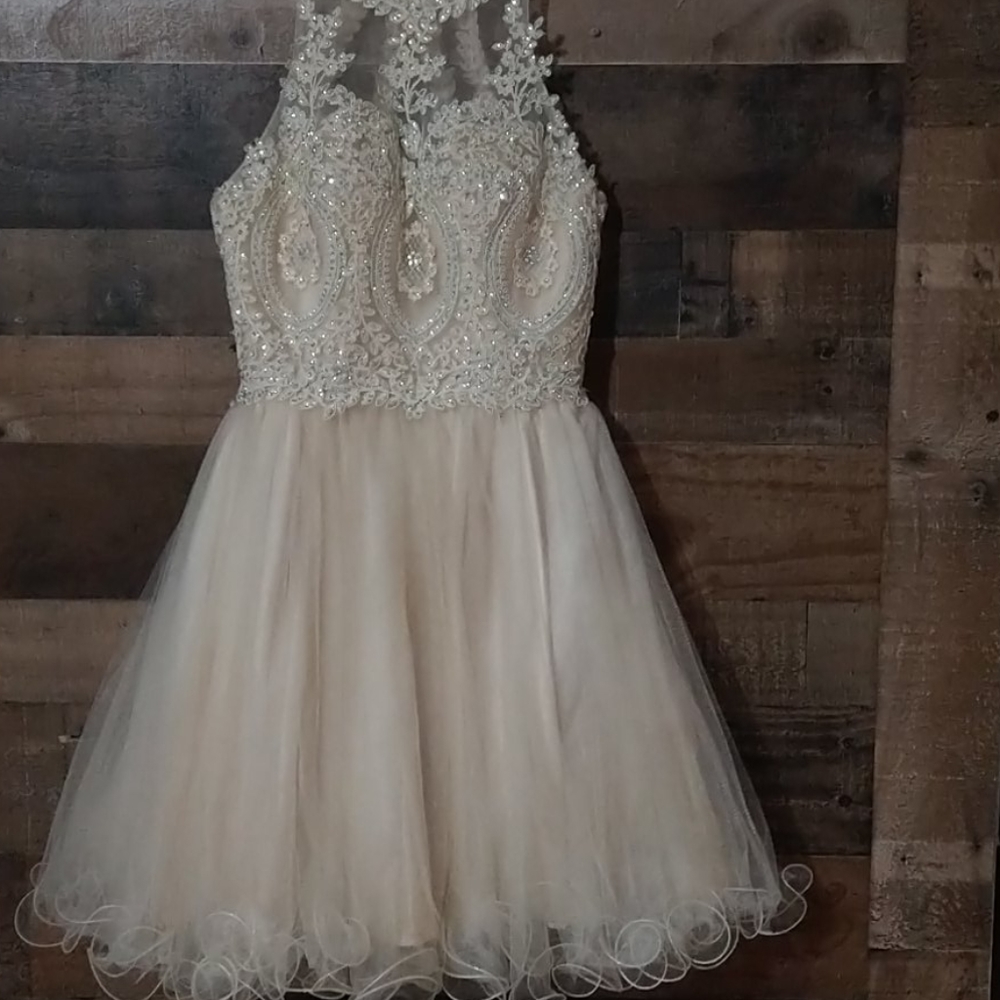 Dama quince dress